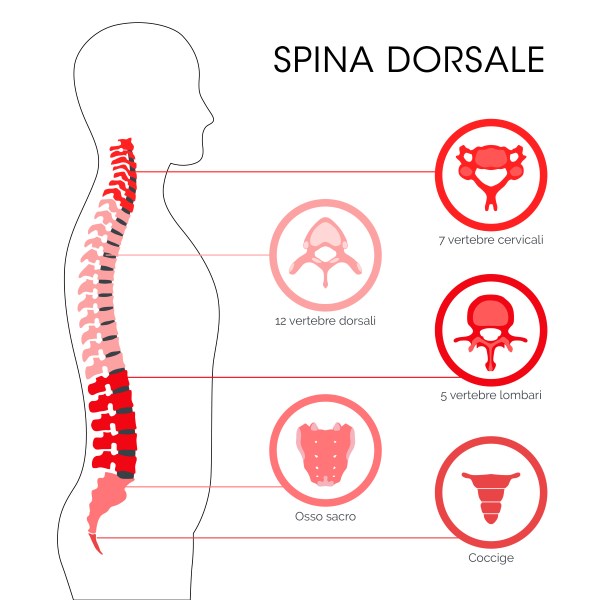 Patologie Della Colonna RC Therapy